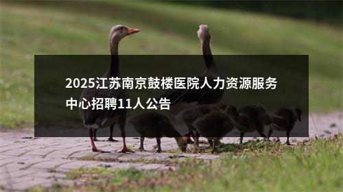 2025江苏南京鼓楼医院人力资源服务中心招聘11人公告                进入阅读模式 图片