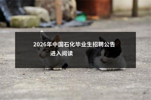 2026年中国石化毕业生招聘公告                进入阅读模式 图片