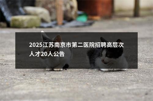 2025江苏南京市第二医院招聘高层次人才20人公告                进入阅读模式 图片