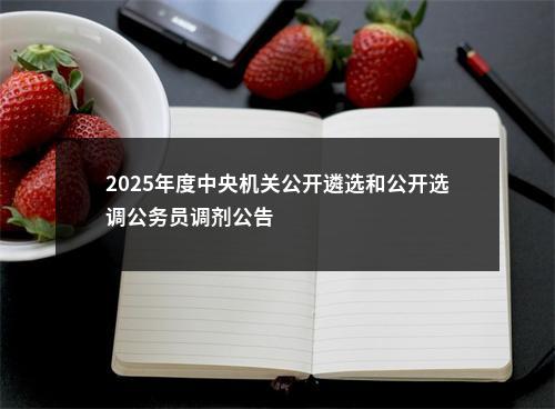 2025年度中央机关公开遴选和公开选调公务员调剂公告                进入阅读模式 图片
